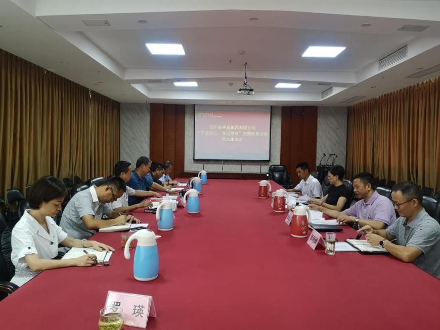 集團(tuán)公司召開“不忘初心、牢記使命”主題教育活動民主生活會