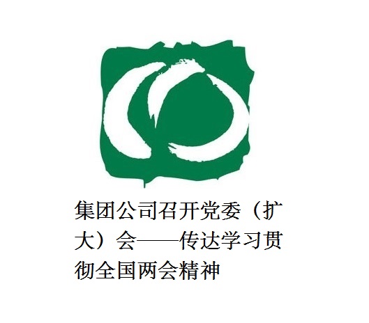 集團(tuán)公司召開黨委（擴大）會——傳達(dá)學(xué)習(xí)貫徹全國兩會精神