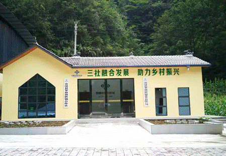 宣漢縣羅盤(pán)頂供銷合作社掛牌運(yùn)行