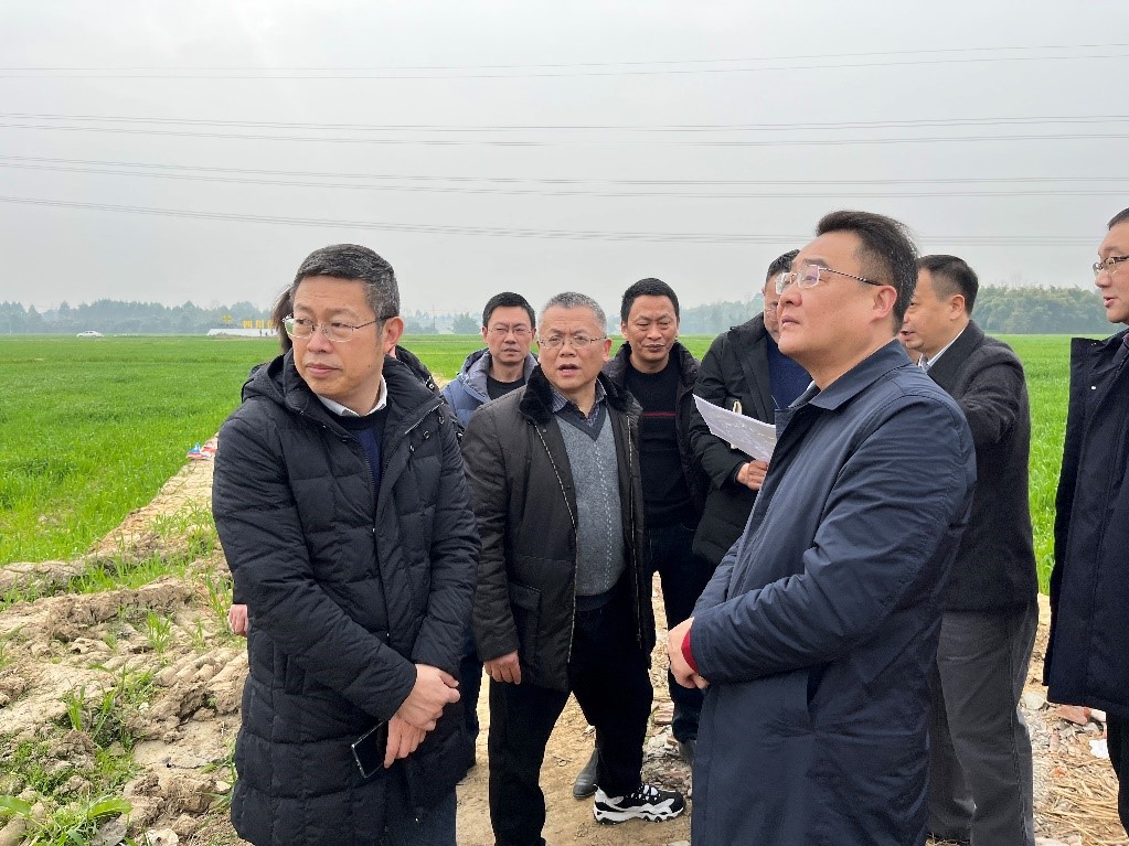 省社、省供投集團領(lǐng)導調(diào)研青白江區(qū)四川現(xiàn)代供銷種業(yè)園區(qū)