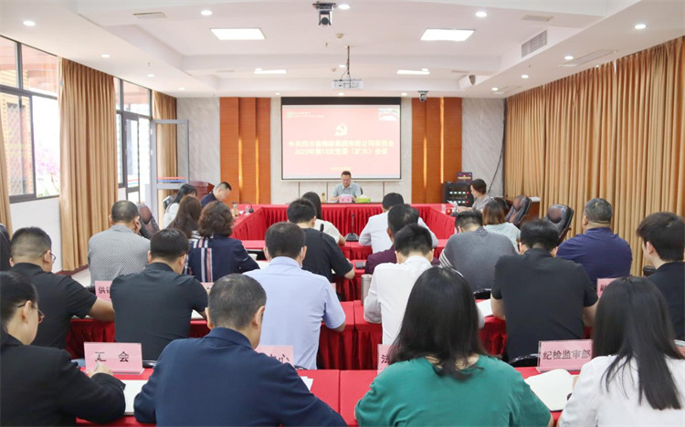 集團(tuán)公司召開2023年第13次黨委（擴大）會議