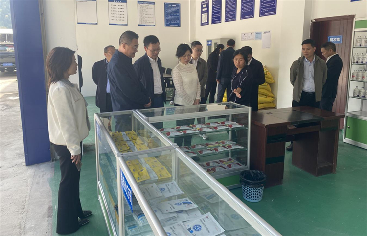 四川省供銷社黨組成員、理事會副主任、一級巡視員楊武秀帶隊到萬源調(diào)研集團舊院黑雞產(chǎn)業(yè)發(fā)展工作