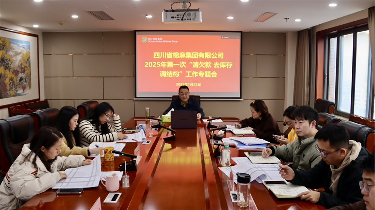 集團公司召開2025年第一次“清欠款、去庫存、調(diào)結(jié)構(gòu)”工作專題會